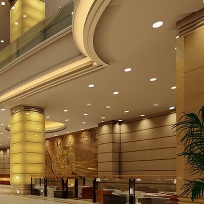 3W LED Ceiling Lighting and Spot Light with Color Temperature Flexibility 2700K-6500K