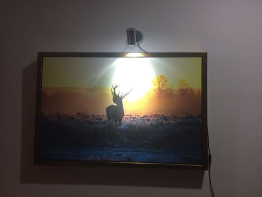 12v 24V LED Spotlight 3W Eye Care Interior Reading Lights for Camper Caravan Houseboat