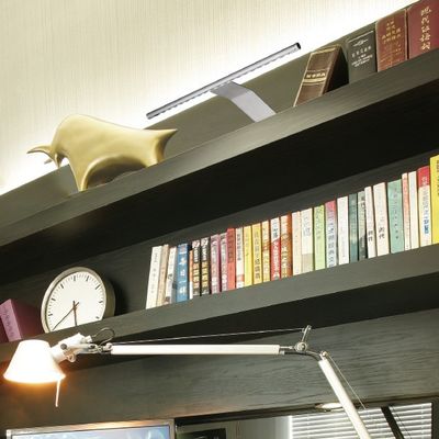 50lm/w LED Rotatable Picture Shelf Light and Cabinet Wall Lamp for Indoor Display Art Work
