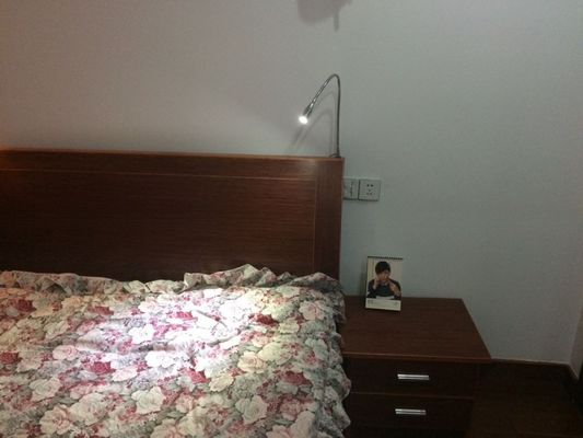 360 Degree Area Lighting EUROPEAN Style Led Gooseneck Light for 12v Mini Laser Light